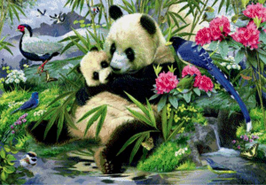 Панды - животные, панды - предпросмотр