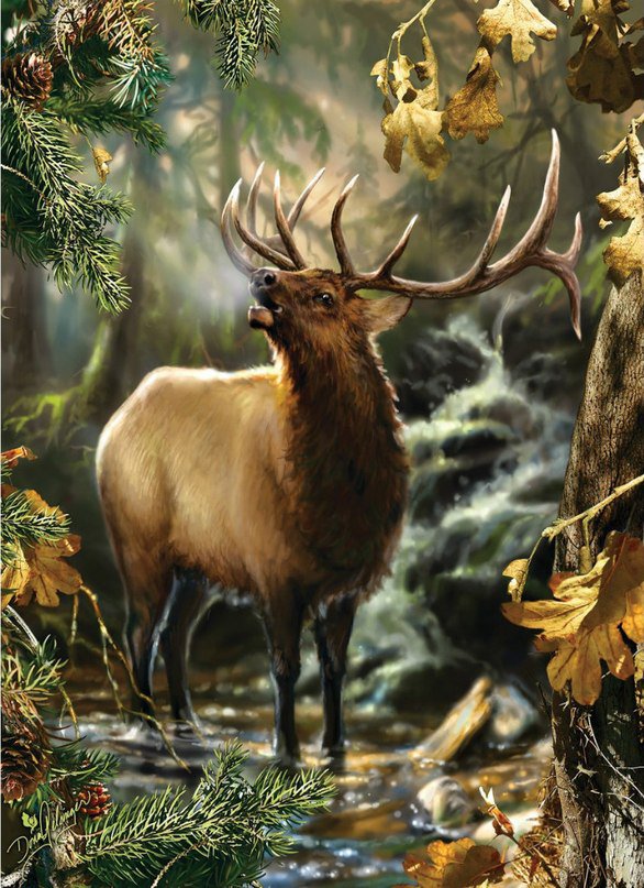 Лось - лес, животные, лось - оригинал