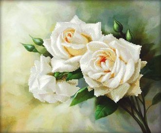 Роза - цветы, розы - оригинал