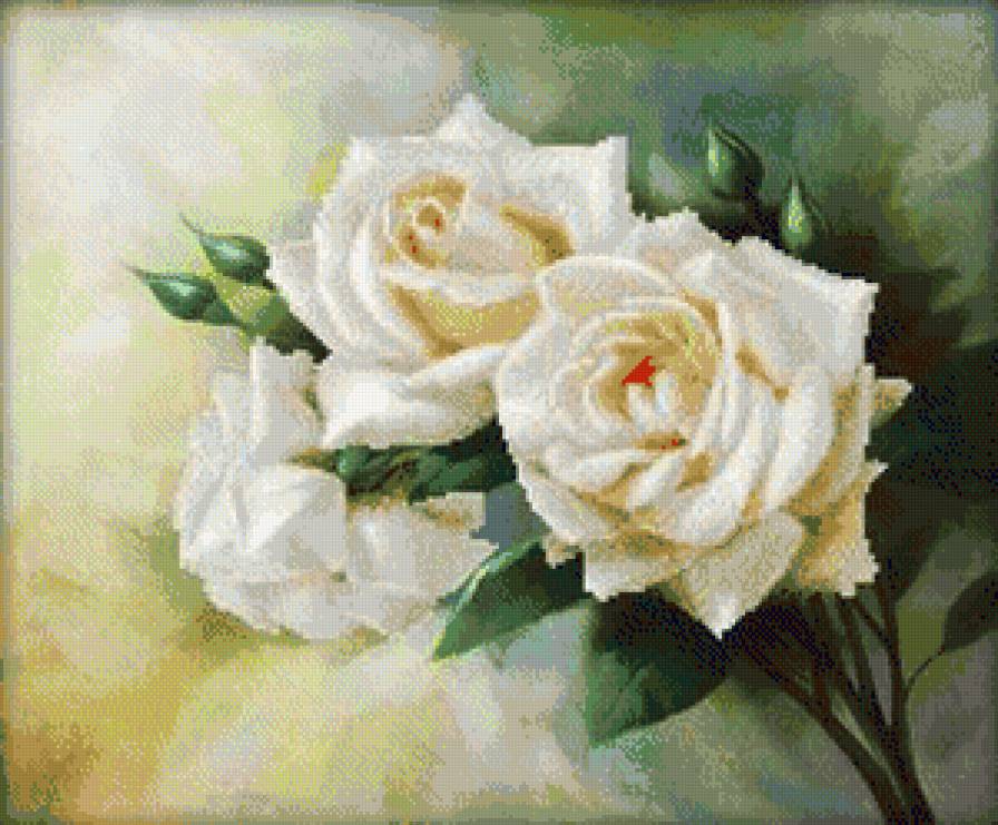 Роза - цветы, розы - предпросмотр