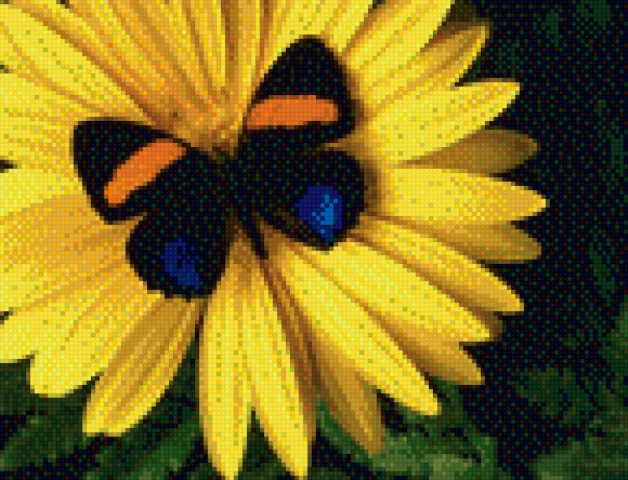 бабочка - предпросмотр