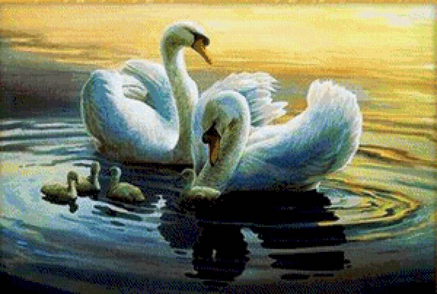 Лебеди - животные, лебеди - предпросмотр