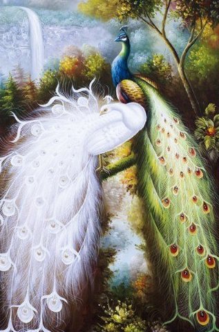 жарптица - животные, жарптица - оригинал