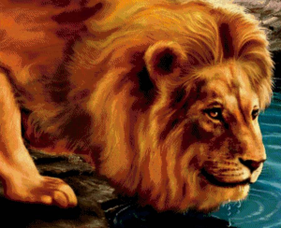 Лев - львы, животные - предпросмотр
