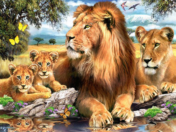 Львиное семейство - львы, животные - оригинал