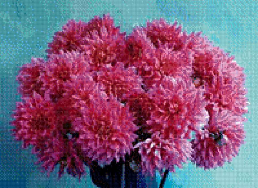 букет георгинов - цветы - предпросмотр