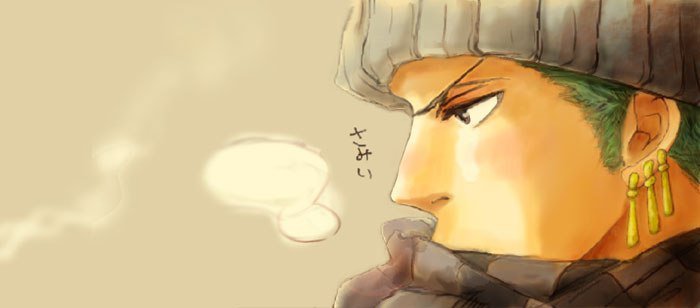 Roronoa Zoro - ророноа зоро, marimo, anime, one piece - оригинал