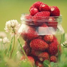 Схема вышивки «№773714»