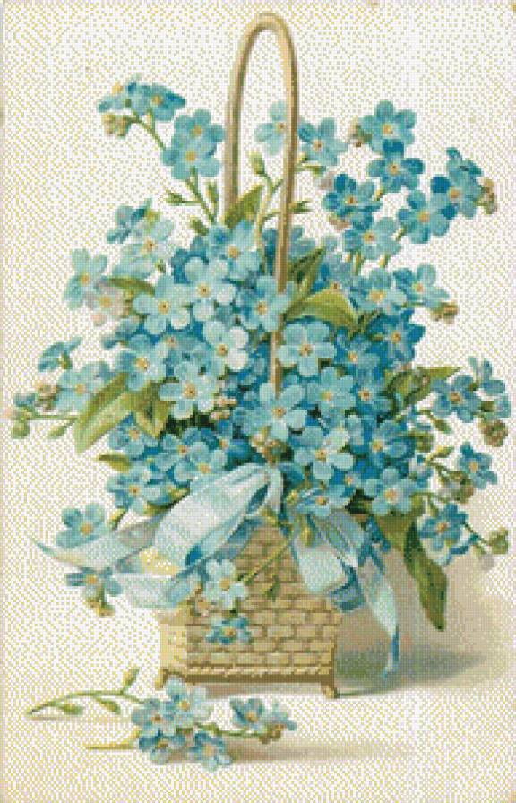 незабудки - цветы.незабудки - предпросмотр