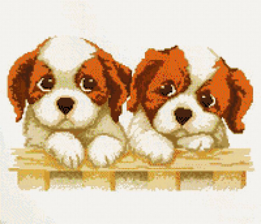 малыши - предпросмотр