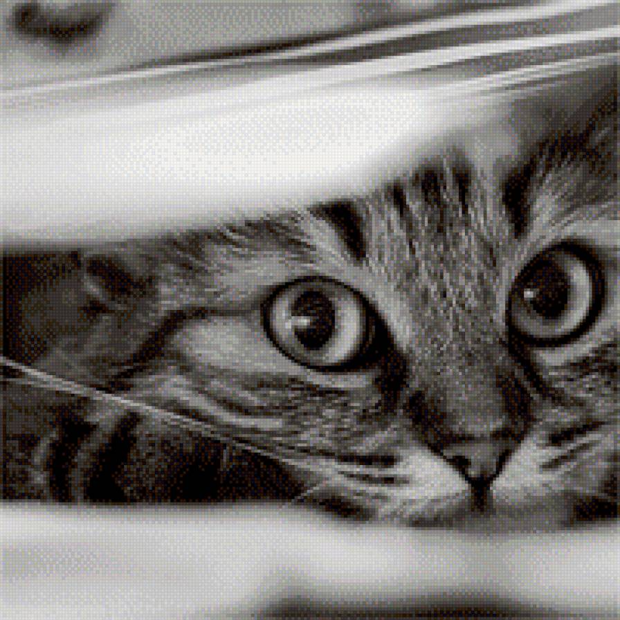 А ты что тут делаешь? - предпросмотр