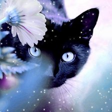 Схема вышивки «пронзительный взгляд»