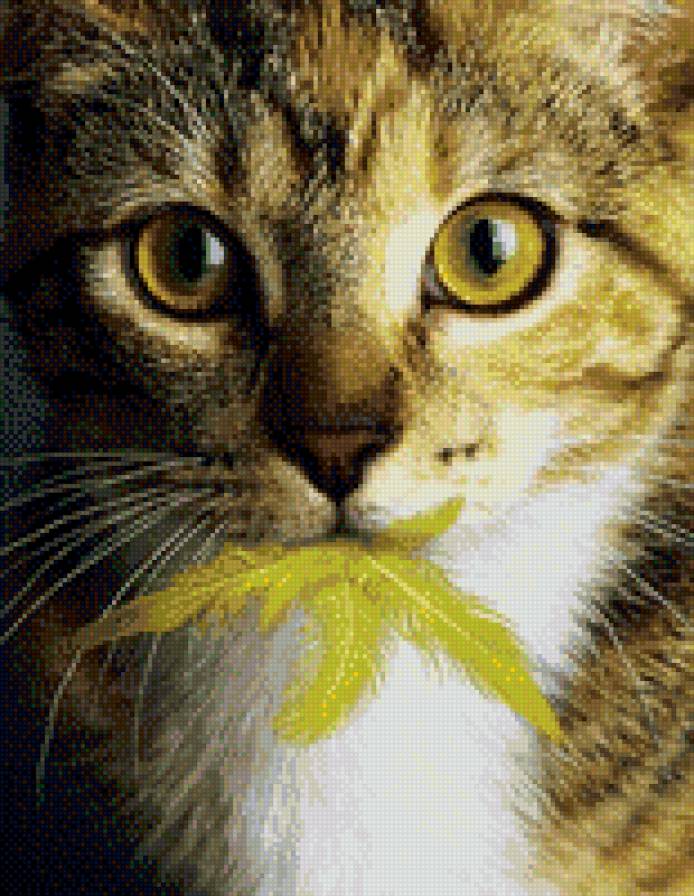 да-да - предпросмотр