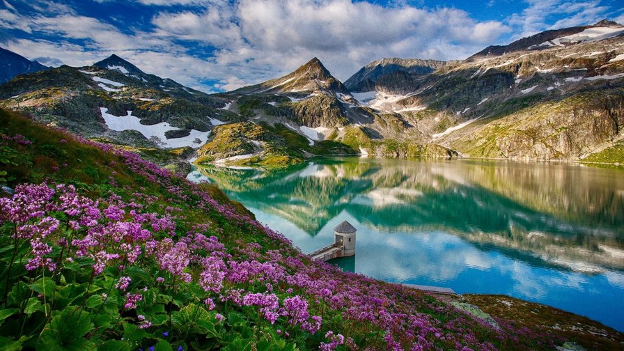 №774330 - оригинал