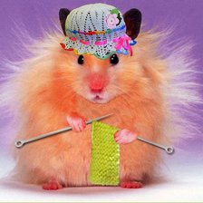 Схема вышивки «хомик»