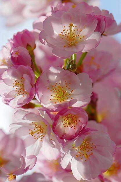 №774495 - оригинал