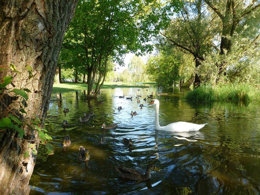 №774518 - оригинал