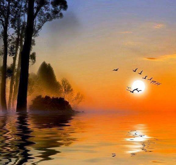 №774587 - оригинал