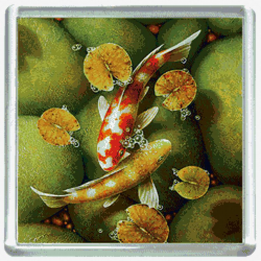 рыбки - фен-шуй, вода, рыба - предпросмотр