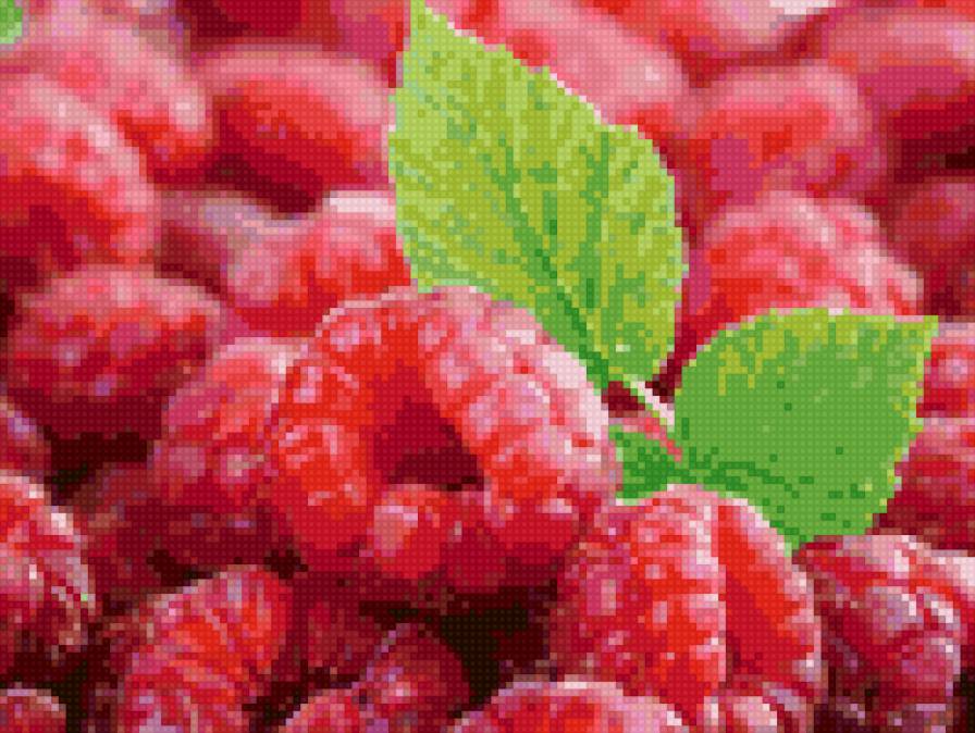 малина - предпросмотр