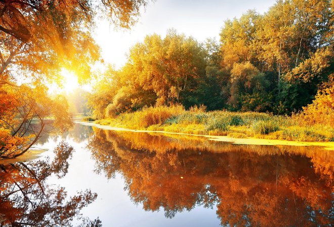 осеннее утро - лес, осень, утро, времена года, озеро, пейзаж - оригинал