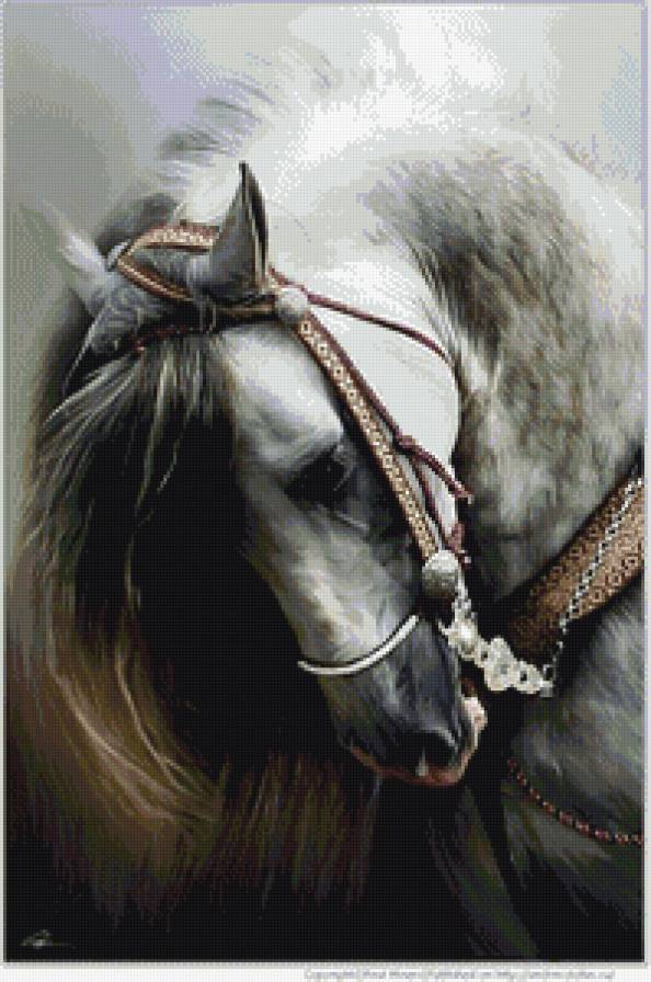 красавец - лошади, животные - предпросмотр