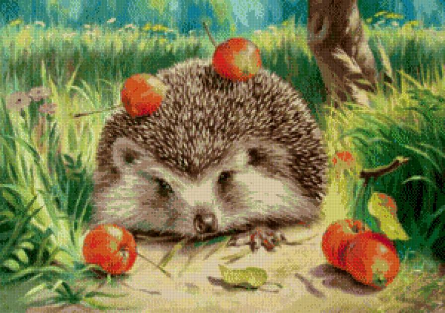 Ёжик - поляна, яблоки, еж, ежик - предпросмотр