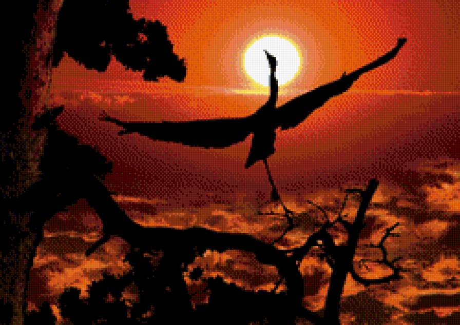 журавль - птица, вечер, дерево, закат - предпросмотр