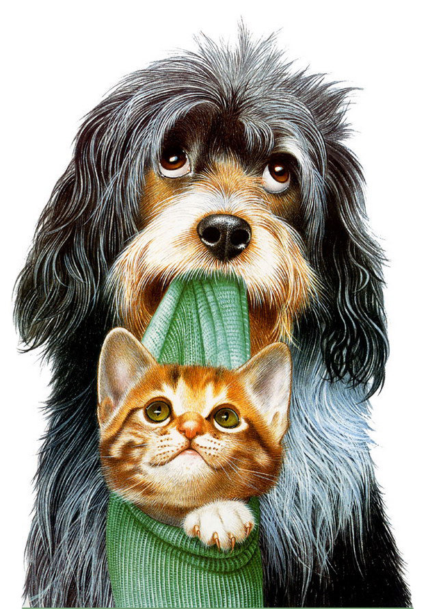 возьмите нас к себе - животные - оригинал