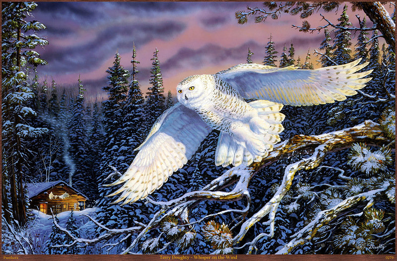 Полет хищника - зима, лес, сова, птица, природа - оригинал