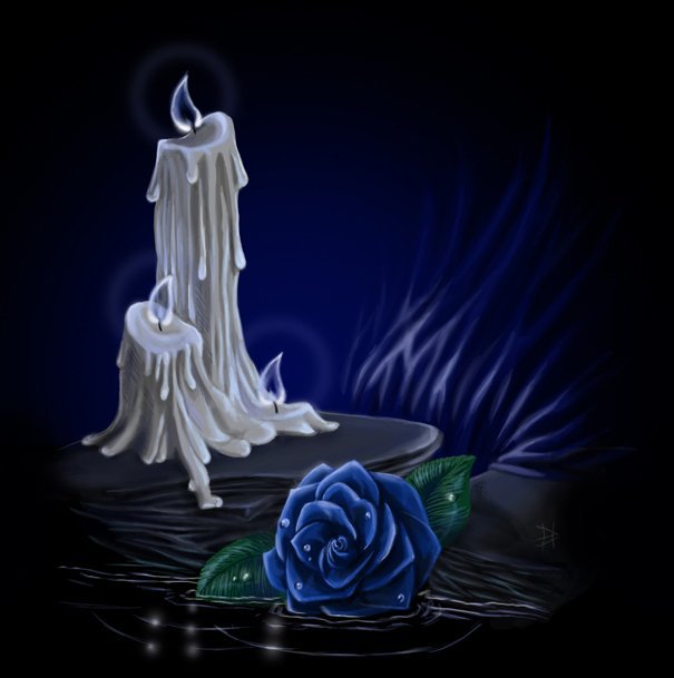 свеча и роза - роза, монохром, свеча, цветок - оригинал