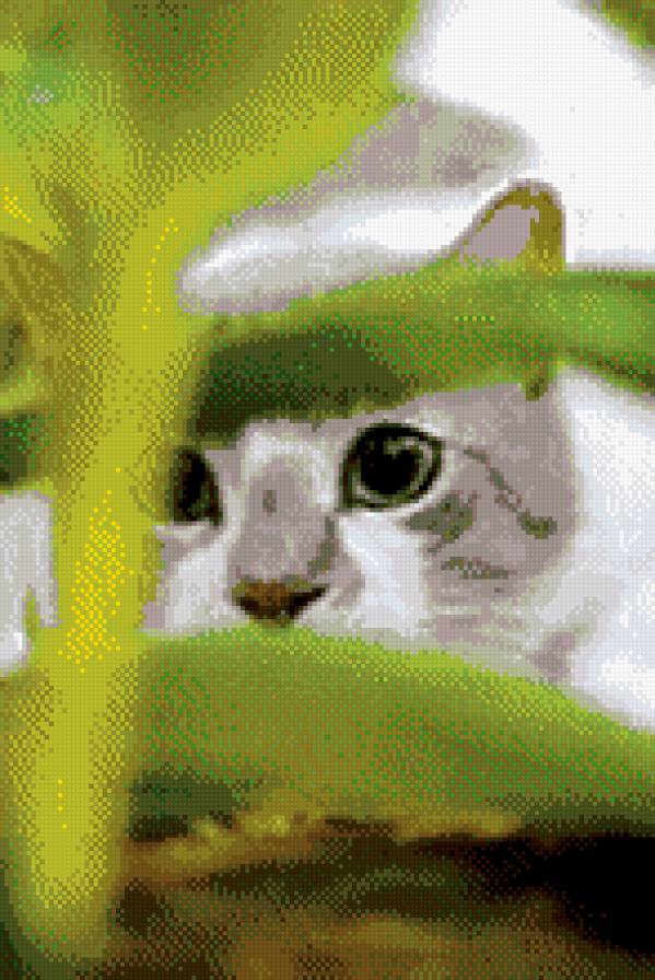 мурчик - предпросмотр