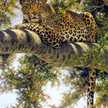 Схема вышивки «леопард на дереві»