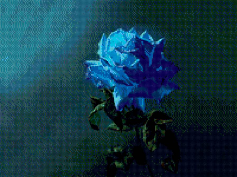 голубая роза - голубой, монохром, цветок - предпросмотр