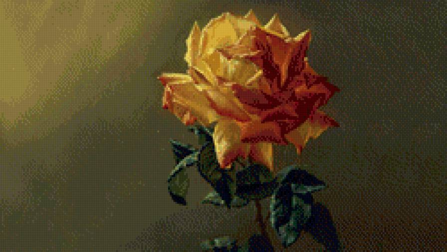 королева цветов - роза - предпросмотр