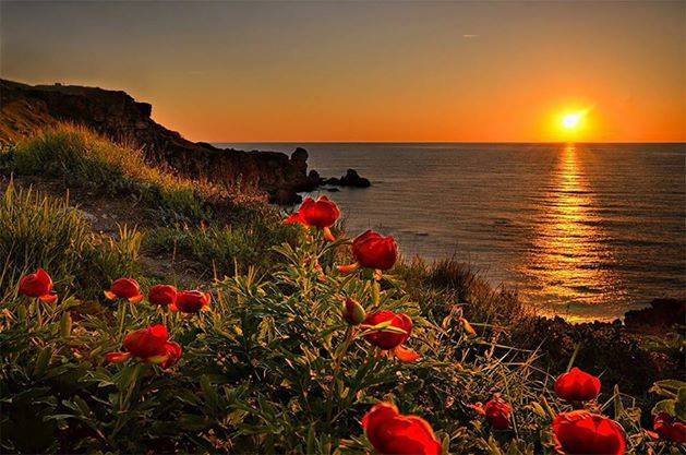 №776067 - оригинал