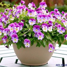 Схема вышивки «№776074»