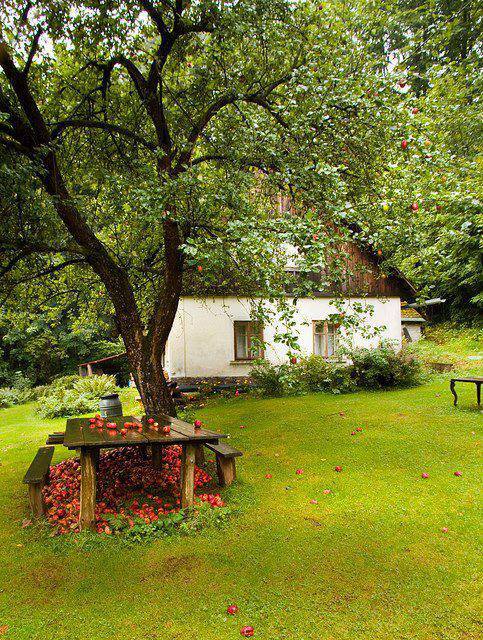 №776102 - оригинал