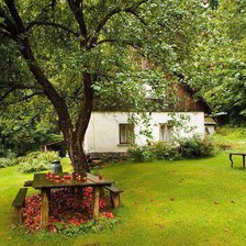 Схема вышивки «№776102»