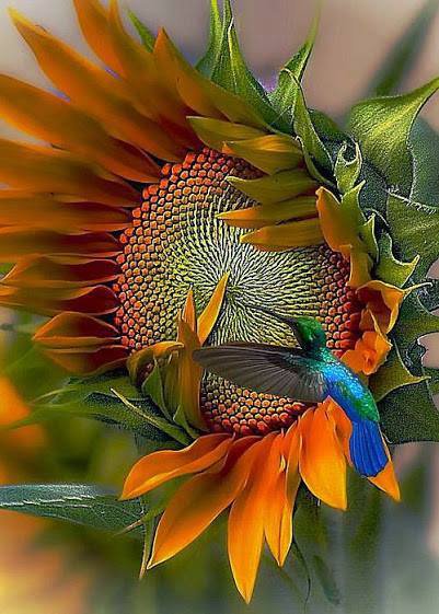 №776131 - оригинал