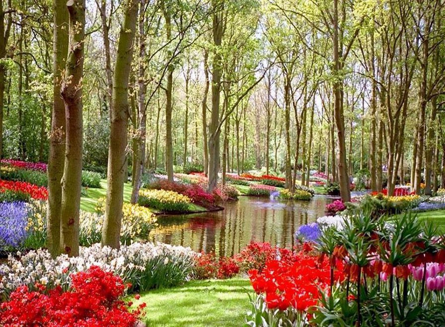 №776166 - оригинал