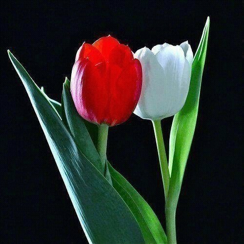 №776178 - оригинал