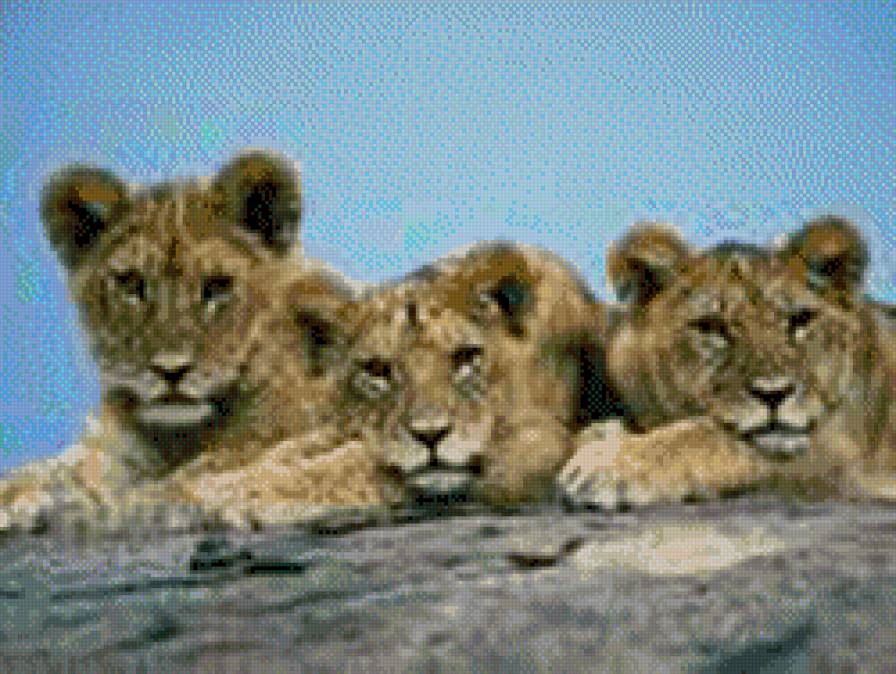 lev - lev - предпросмотр