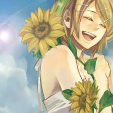 Схема вышивки «Sunflowers»