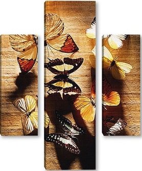 триптих - бабочки - оригинал