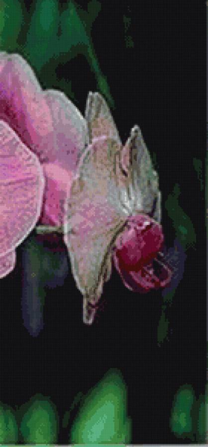 триптих орхидея 3 - предпросмотр