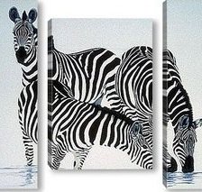 триптих зебры