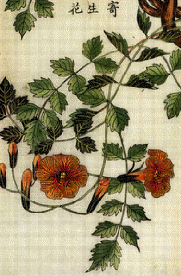 №777101 - предпросмотр