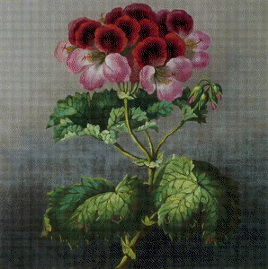 №777107 - предпросмотр