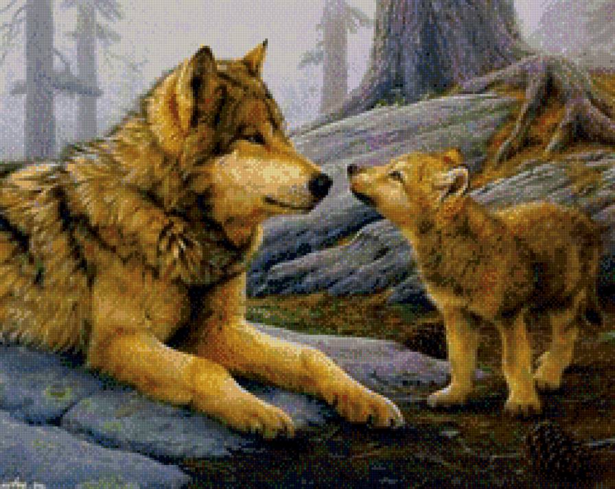 волки - хищники, животные, волк, волчонок, лес - предпросмотр